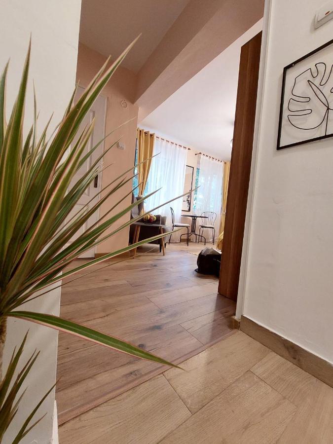 Laroka House Cosy Studio Universitate Βουκουρέστι Εξωτερικό φωτογραφία